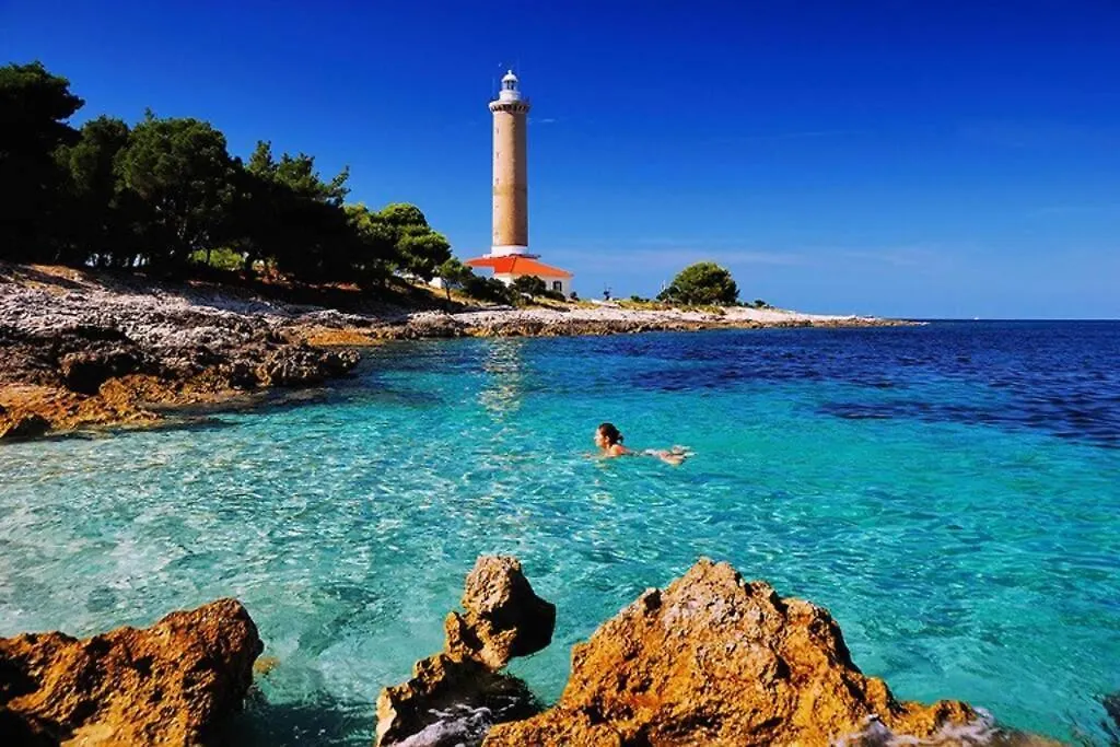Flowers House On The Island Dugi Otok Zman